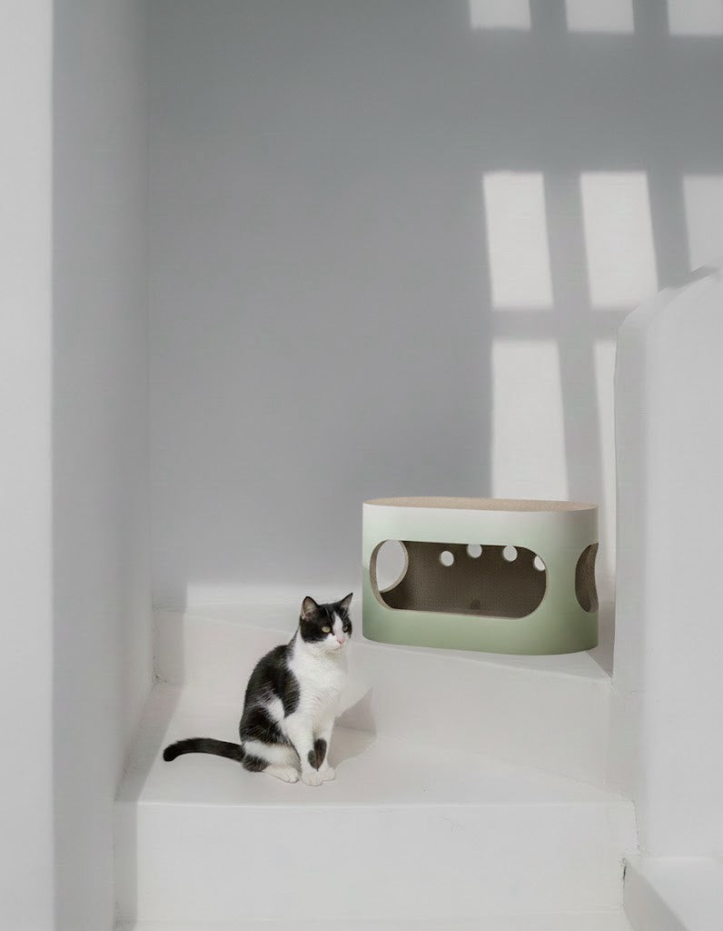 小貓居